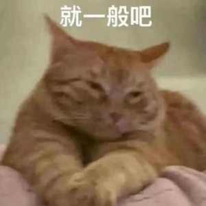 �³�һ��W���ְ�������ȥ������������ƽ