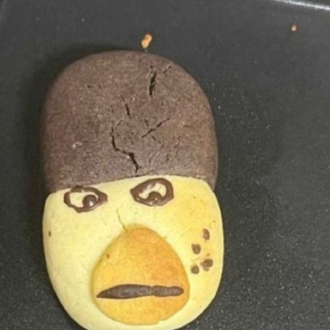 �������XС��һ�õ��֙C��ʲô����������e��ʲô����Ҫ��