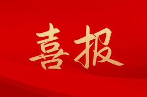 2025�Ї���I��I(y��)500��(qi��ng)�����12�ң�