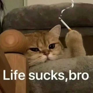 �������ڡ���F�������M�������a�n�_֧��С�����uՓ�l�F��һ��������˺Î��f