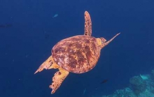 ����ȥ���ܿ��������磡ε�{�ؾ�������