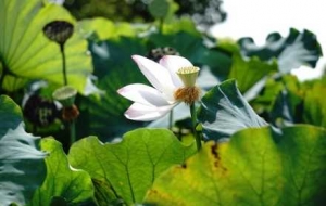 �z���R�^�µĺɣ�����֮�������A��M�L(f��ng)�Ǫq��