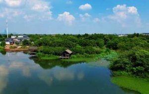 ���ļ��l(xi��ng)�����{(l��n)����Ƶ�ӳ����ˮ΢���p����Ԋ�箋