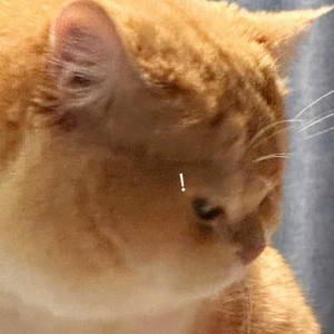 ����늄�(d��ng)܇���T�˃������ͣ܇߀Ҫ��5�K�{(di��o)���M(f��i)����