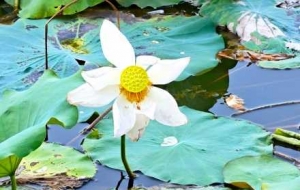 ������������L�����ļ����� �о�����ğ����