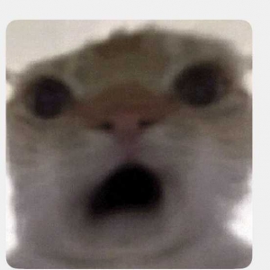 �������꼉Ӣ�Z�n�ā��������ˣ�����{���ˣ��҂��Ǖr����~�ܲ����ȫ�{����