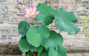 ��ȪС�(zh��n)���[�佭�ϵ�ɽˮ�ؾ������x��������