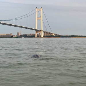 ���τ��������࣬���֙C(j��)ӛ����@���F�r(sh��)�̣�