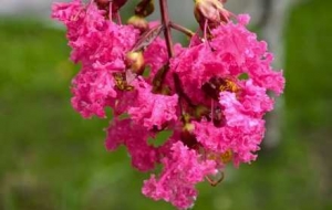 �o�^���л����R�^����˲�g��������������