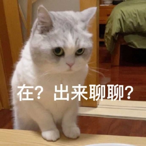 ���Ľ���l悵��L�ף��L�܆��°l1ԪӲ�ţ���t��ϲ������������