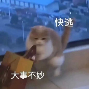 ���˼Қq�����B�����������ǣ���Ҳ������Σ�ֻ�ܿͿ͚��ذ���������