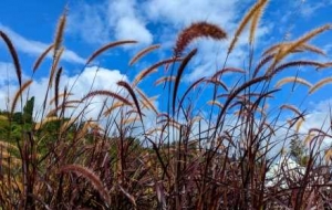 ӛ����П����c�e�����C���҂�������J�����@������