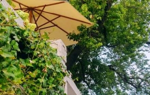 �����e�����x�Ͻ֣��w��y�õČ��o