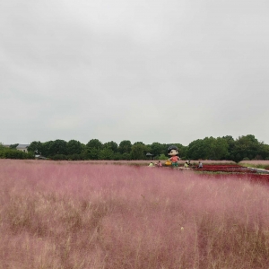 �z�Ѵ򿨣�İ�ϻ����_�������ɫ������