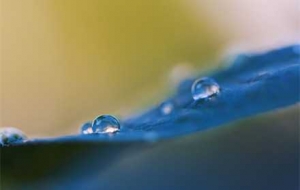 ����8�r41�֣������ʽ�M�뺮¶