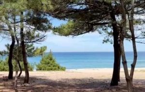  �L�����o�n�o�]���@��������֮��