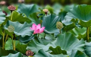 ̫���^��̎���p����ʢ�����ھ��������~�F