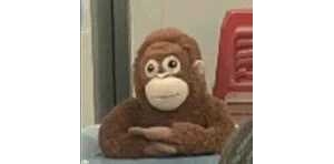 �������Ȧ�ö������˱�������һ����ˌ���̫̝������������ûض����X߀��֪��