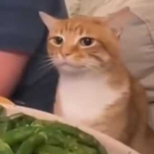 �Ҵ�đ�A�y��һ�����RNB�ڽ�ꎱ���_��������¡�ɾ͉����