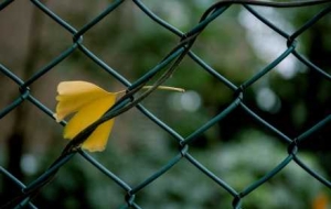 �������y�������붬�᣿