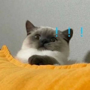 ؓ؟�҂��S�ĈAͨ���f���ˆ��}���Îׂ������l����ȥ�� �f��ٍ�X�Ͳ�����