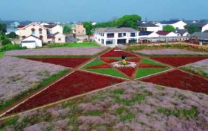 �����L�����д壺���컨��������ˮ�l���еĜ��ᱩ��