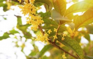 �M�ǹ𻨼����M�F�_�ţ�