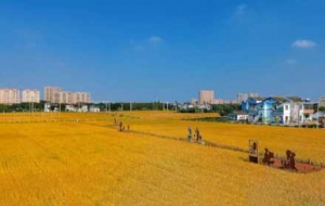 ���պ��ģ������ɫ���ͯԒ�������M�F��