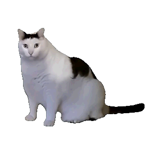 �����a���e�^��c��һ���ϵ»��������ڶ�Ҫ6�K�����M��߀�����挦��һ�°�