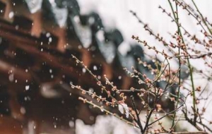 12�r04�ֽ����ʽ�M������