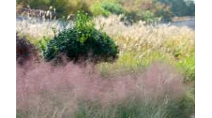 ����@�J���wѩ���M���շՇ���