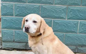 ���¹��棡���M�I�B