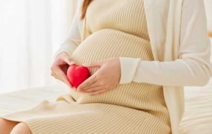 2025�������a�N���I��Ոץ�o��