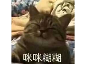 ��������wһ�Q����Ʒ׌���ۻ����y�����҅s���oُ�I�������X��߀���̳���