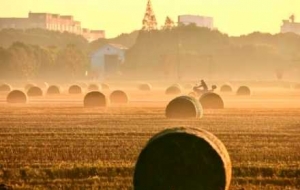 ����ʿ�������ˣ������ɽ�����