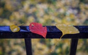 ����......�����δ�_���붬�˜ʣ���