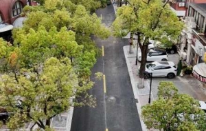 �潡·������ɣ���������