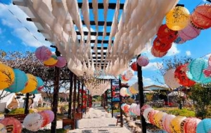 �S�ģ��e��ؓ(f��)����⣡Ұ��Ӌ��ץ�o���l(f��)