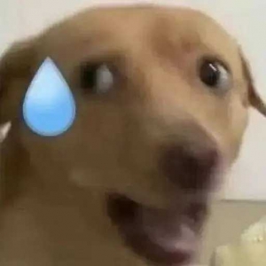 �����˳��A�Rʿ�[�^���ӣ��϶���ֹ��һ��