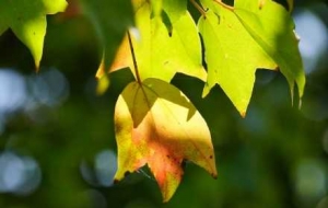 18�������ؕr�g����