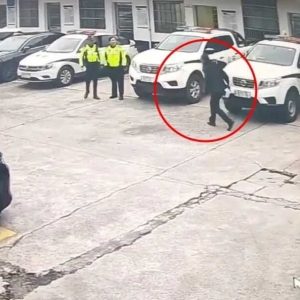 �鼱֮��������܇�_�M�˽����