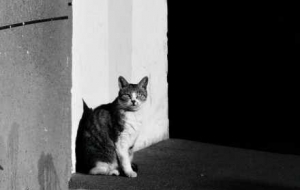 ����(ji��)�ГQ��������l�������R�^���²�һ�ӵ��L(f��ng)��