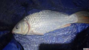 ���lҹឃɂ�(g��)��С�r(sh��)���~(y��)���p��׌�ˑ�������