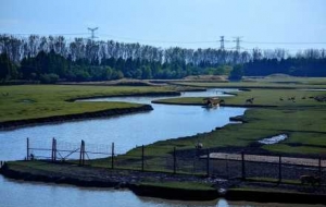 ���Ν�ع��@��΢�L(f��ng)���졢��ɫ�箋(hu��)��һ�ж�ǡ����̎