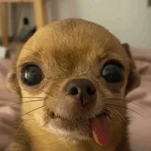 ��˾һֱӯ����B���N�ۘI���ã�����ǰ�I�c��Ʊٍ�Ď��ʴ󲻴�