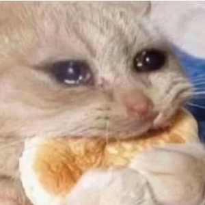 ���S�ڱ�Թ���s������һ�Z�c�ѣ�ԭ��e�ļ��L��һ��ץ���c���҂�߀����ء���ƫ�ơ�