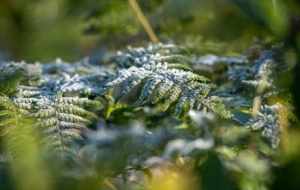 ��������48С�r��9�棡