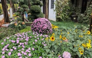 �ĕ��@�p�գ��\�C�M�����f�����G��������