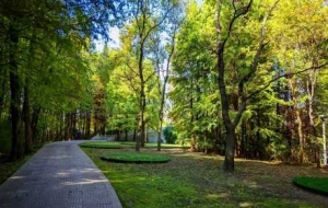 ������棺�S�Ķ�����һĨ�G�������EȻ����