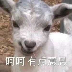 ���H��߀ͦ�p�˵ģ������䵽�Լ��^�ϣ�����׃�ɡ�������Ȼ����